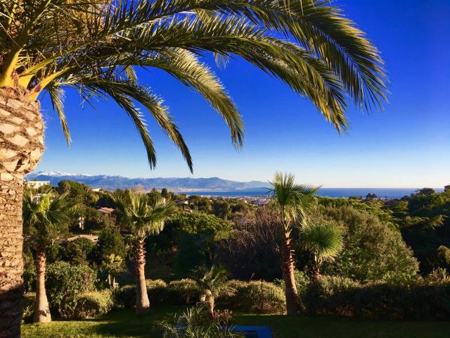 CALIFORNIE PALMIERS, MER ET MONTAGNES ENNEIGÉES