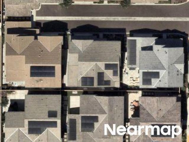 Calla Lily Dr