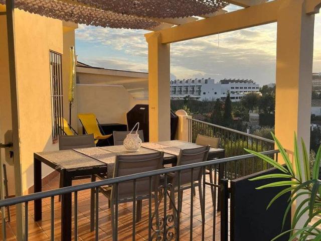 Calle Cañas