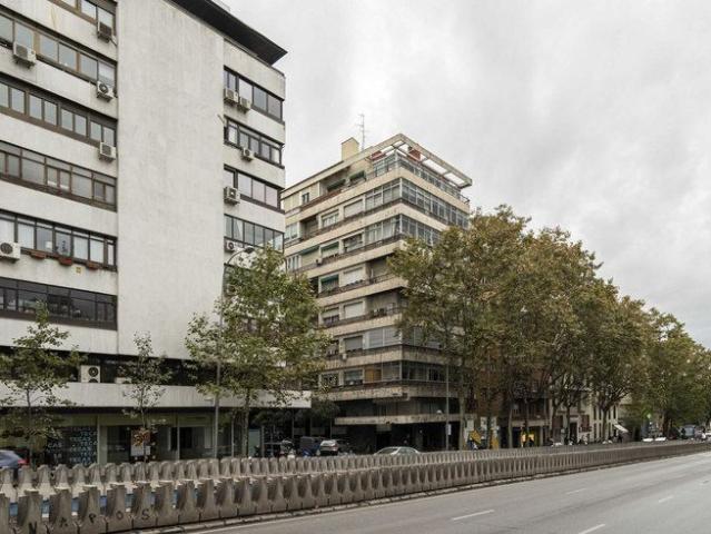 Calle de María de Molina