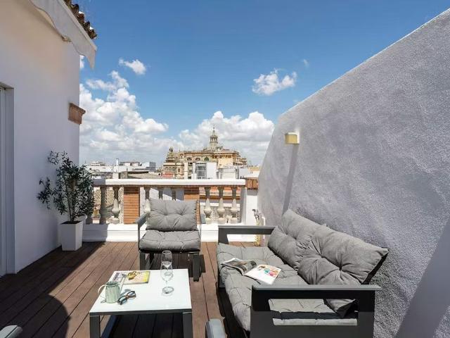 Calle Francos, Sevilla, Andalusia 41004