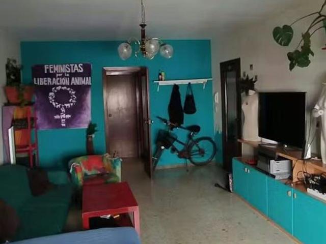 Calle San Hermenegildo, Sevilla, Andalusia 41003