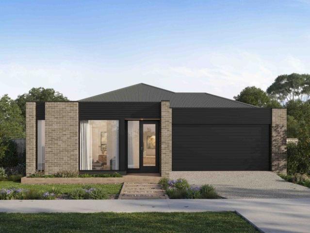 Calm, Considered Family Living with Theatre and Seamless Outdoor Flow