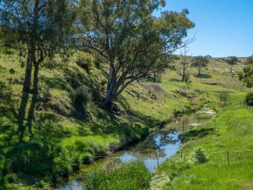 Captivating Countryside Living in Cudal