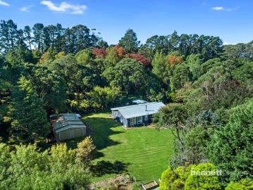 5 ARABLE ACRES QUALITY TURNKEY HOME + STUDIO GARDENER/HOBBY FARMERS DELIGHT