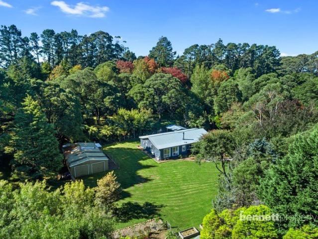 5 ARABLE ACRES QUALITY TURNKEY HOME + STUDIO GARDENER/HOBBY FARMERS DELIGHT