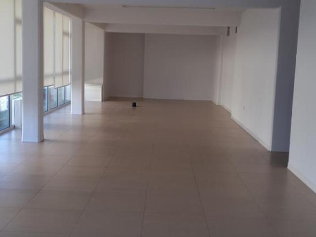 CAPALLE GIGLI 6 vani 450mq