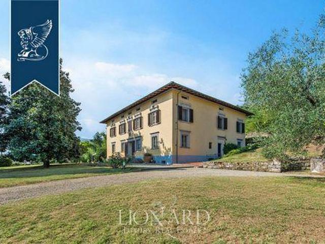Capannori Lucca 104294689