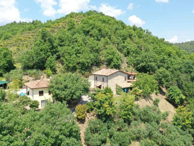 Cappella Di Orgiano Ipn Castello 265m² Montone