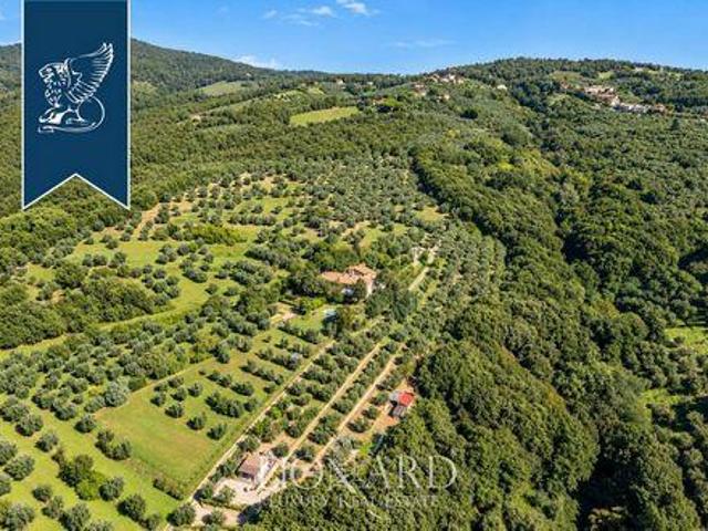 Capraia e Limite Firenze 105882782