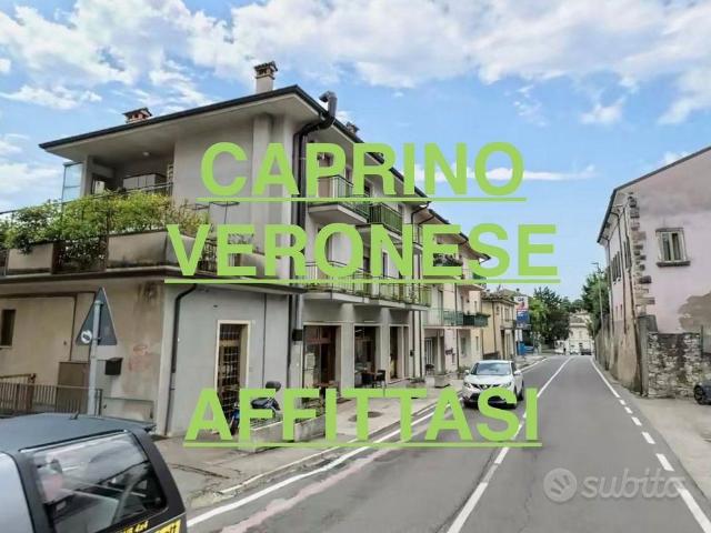 CAPRINO VERONESE QUADRILOCALE