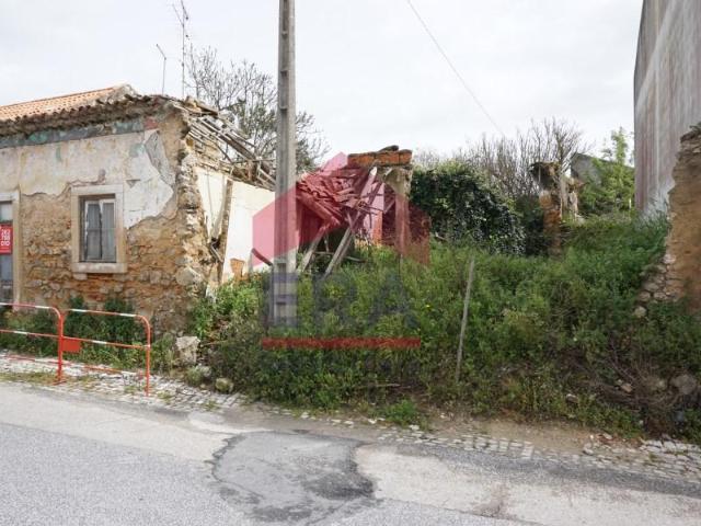 Cartaxo Cartaxo 100578115