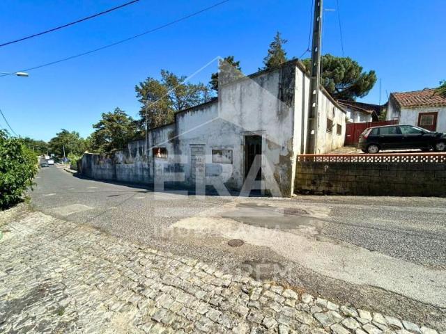 Cartaxo Cartaxo 103219750