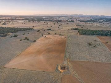 Caruba A Versatile Mixed Farming Opportunity in the Heart of Purlewaugh