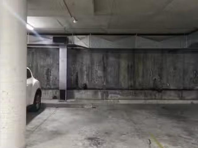 Car Space/39 Dangar Place, Chippendale Apartment for rent Lis.