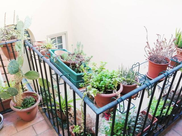 Caratteristico appartamento in San Frediano