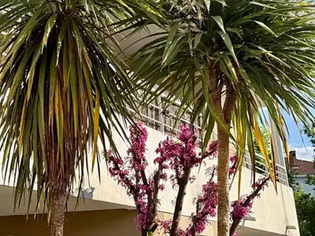 Carcassonne 11000 Achat / Vente appartement 2 pièces t2 cave