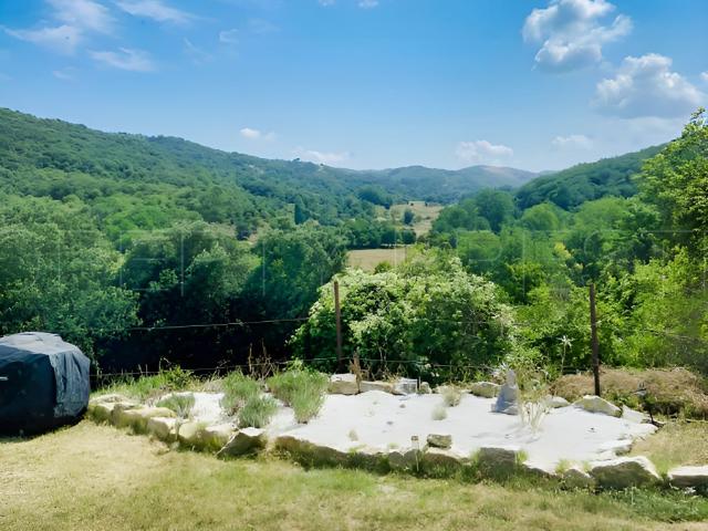CARCASSONNE – PROPRIETE AGRICOLE – GITES – 47 HA