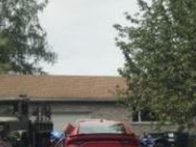 Carnation Ln