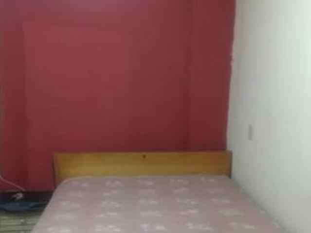 Carnaval, alugo de 15 a 24 de Fevereiro 1 casa + anexo