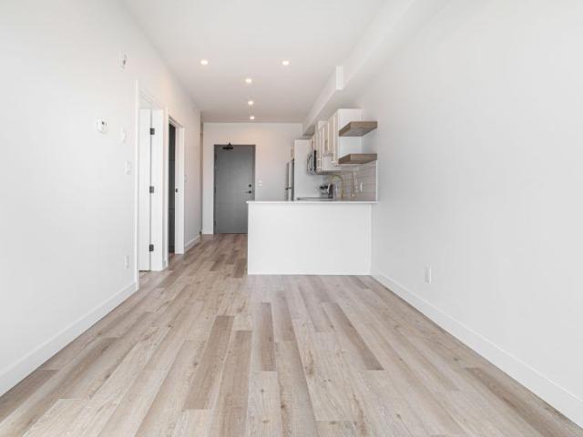 Carolina: Gold Accents – 196 Colony, Winnipeg, MB