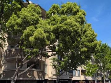 Chabot Park, Oakland city, Oakland CCD Alameda County California, Alameda County, California, USA