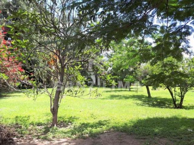 CARR. CELAYA SAN MIGUEL DE ALLENDE TERRENO USO AGRICOLA O INDUSTRIAL