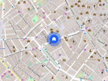 Carrer de l'Hospital, Barcelona, Catalonia 08001