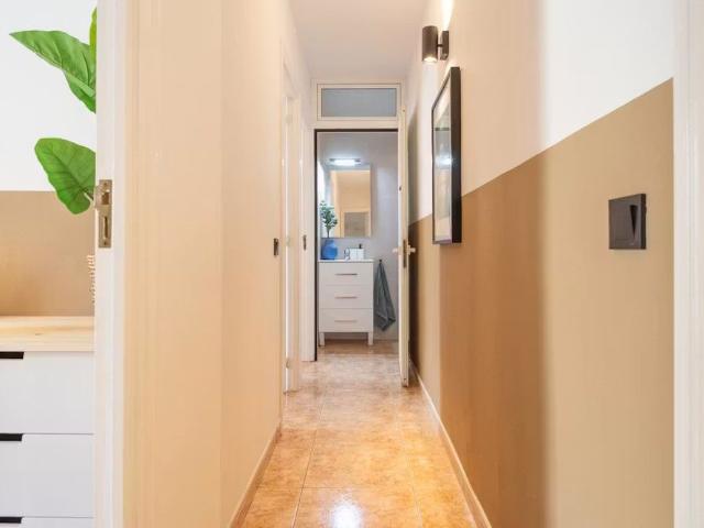 Carrer de Pelai, Barcelona, Catalonia 08001