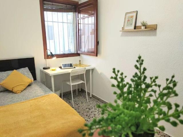 Carrer Miguel Hernández, Paterna, Valencian Community 46980