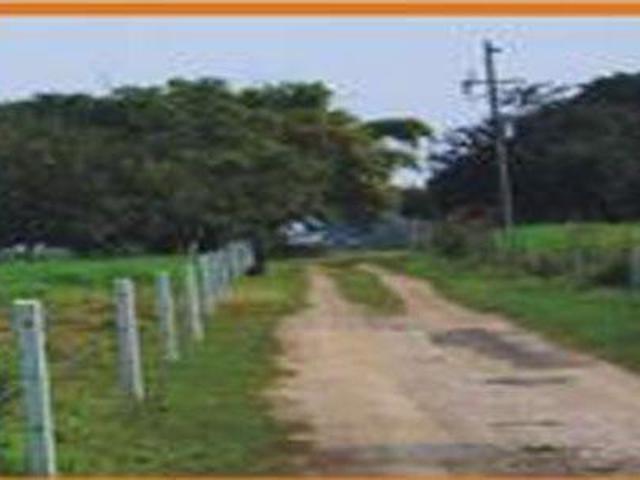 Carretera Tampico Valles