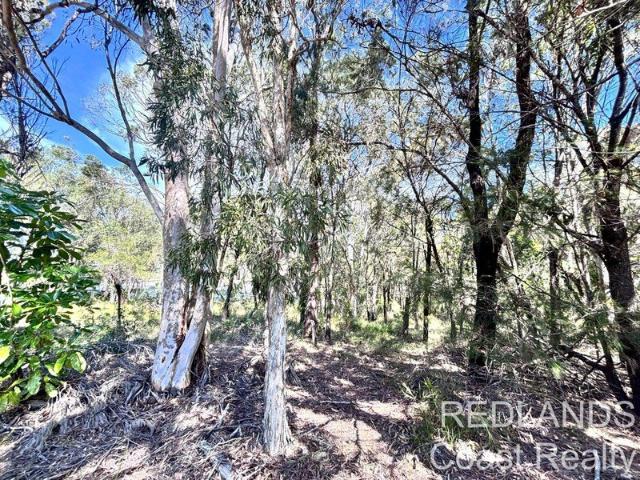 Cast Your Eyes to Straddie Elevated Island Living