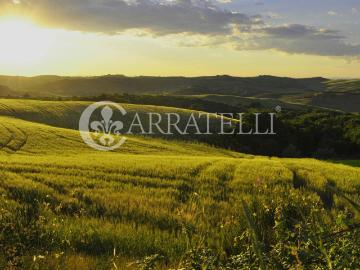 Castelnuovo Berardenga Azienda vitivinicola di 500 ettari ci. 2370m² Castelnuovo Berardenga