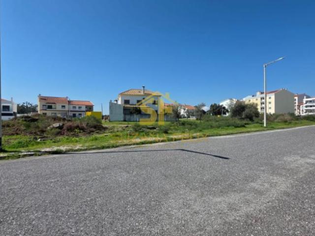 Castelo Branco Castelo Branco 6005 101016291