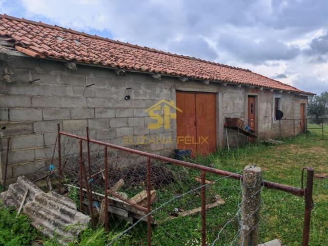 Castelo Branco Castelo Branco 6005 102271926