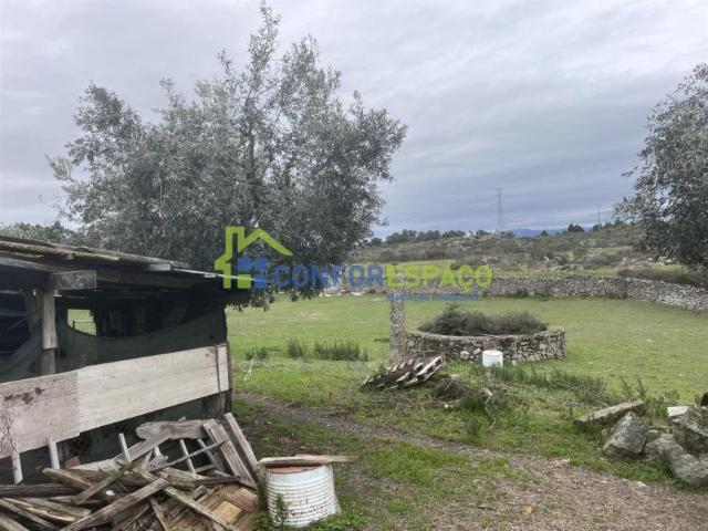 Castelo Branco Castelo Branco 6005 102752441