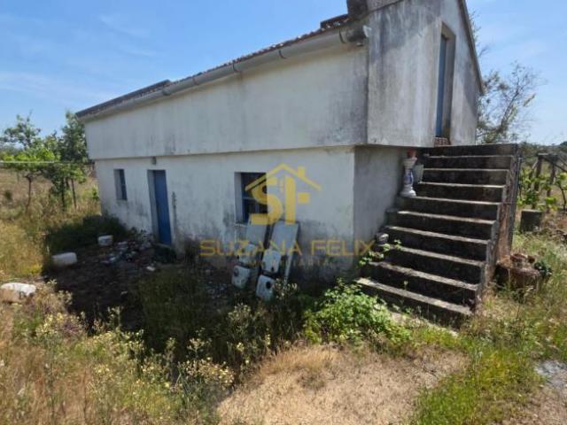 Castelo Branco Castelo Branco 6005 102752550