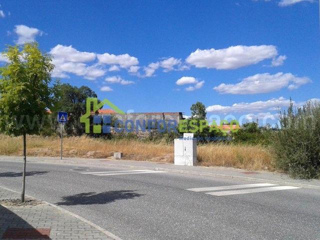 Castelo Branco Castelo Branco 6005 105309179