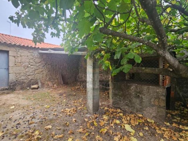 Castelo Branco Castelo Branco 6005 105755434