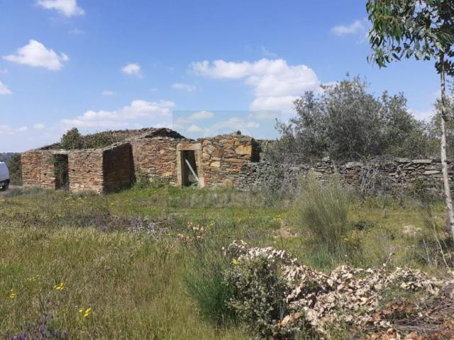 Castelo Branco Castelo Branco 6005 96684776
