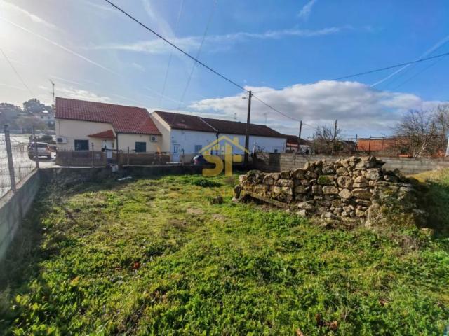 Castelo Branco Castelo Branco 6005 99283423