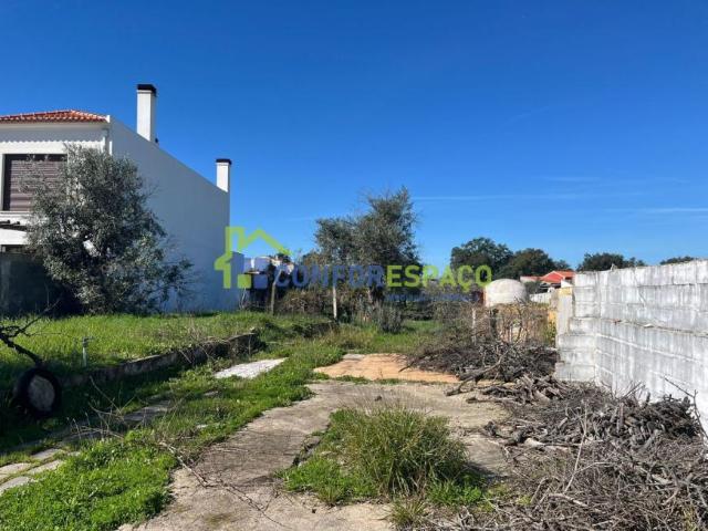 Castelo Branco Castelo Branco 6005 99411541