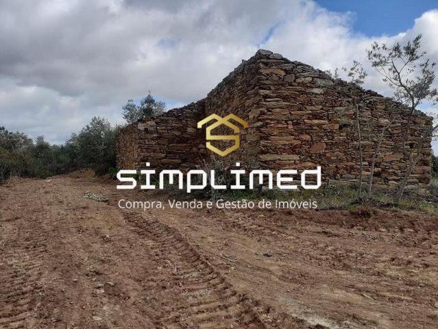 Castelo Branco Castelo Branco 6005 99505695