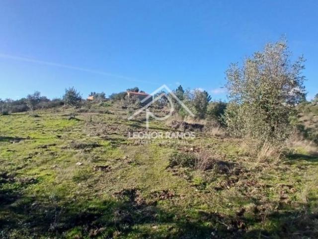 Castelo Branco Castelo Branco 6005 99794956