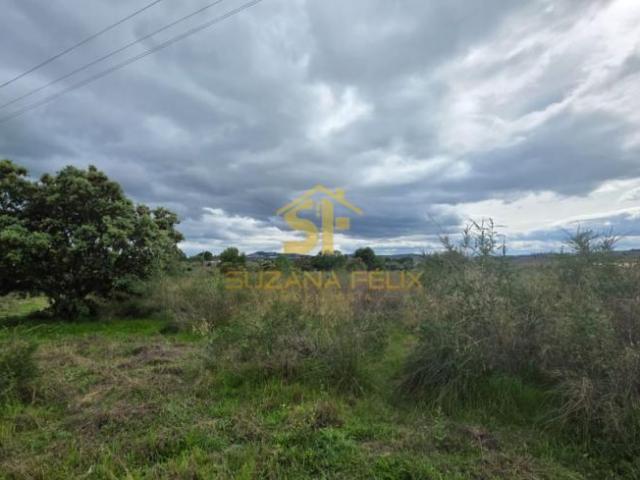 Castelo Branco Castelo Branco 6000 101725662