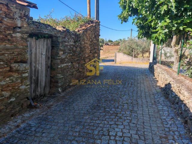 Castelo Branco Castelo Branco 6000 103322413