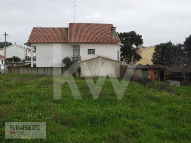 Castelo Branco Castelo Branco 6000 740 100226044