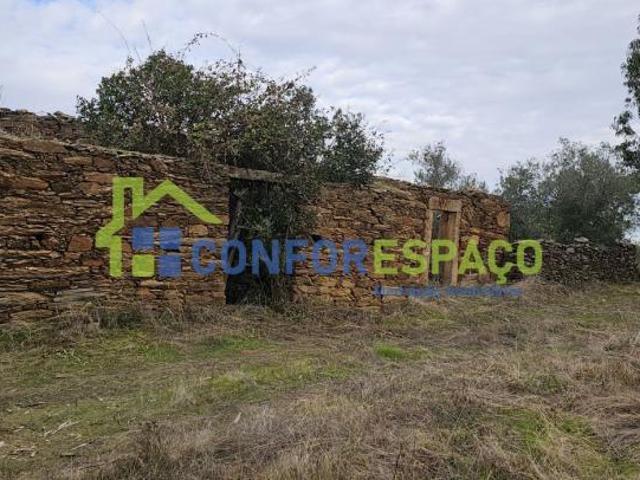 Castelo Branco Castelo Branco 6000 97024680