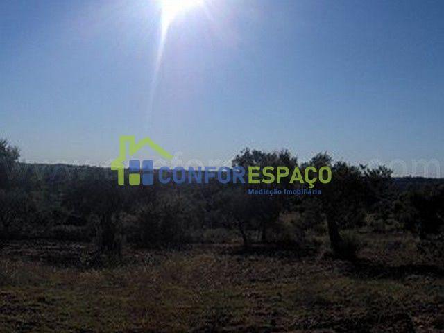 Castelo Branco Castelo Branco 6000 97226470