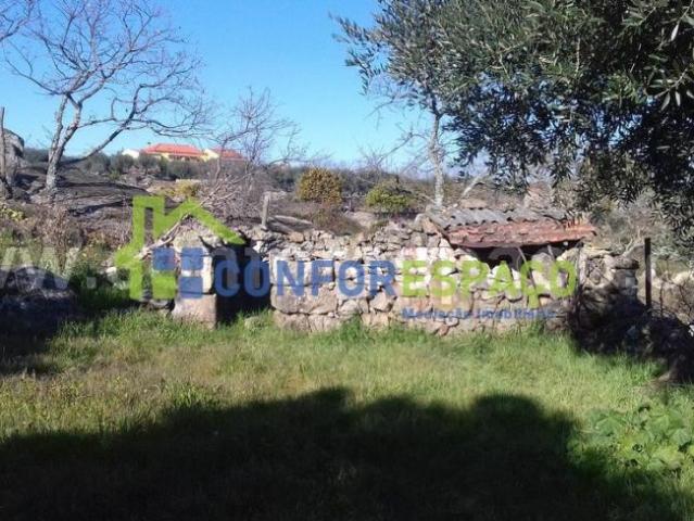 Castelo Branco Castelo Branco 6000 98093645